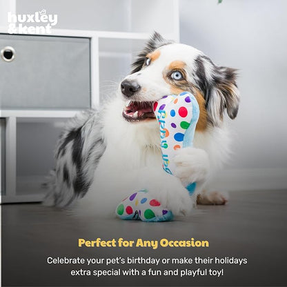 Huxley & Kent Funny Dog Toy w/Squeaker – Power Plush Squeaky Dog Toys for Small, Medium & Large Dogs – Soft Stuffed Animal for Indoor Play & Fetch - It's My Barkday Bone, Small