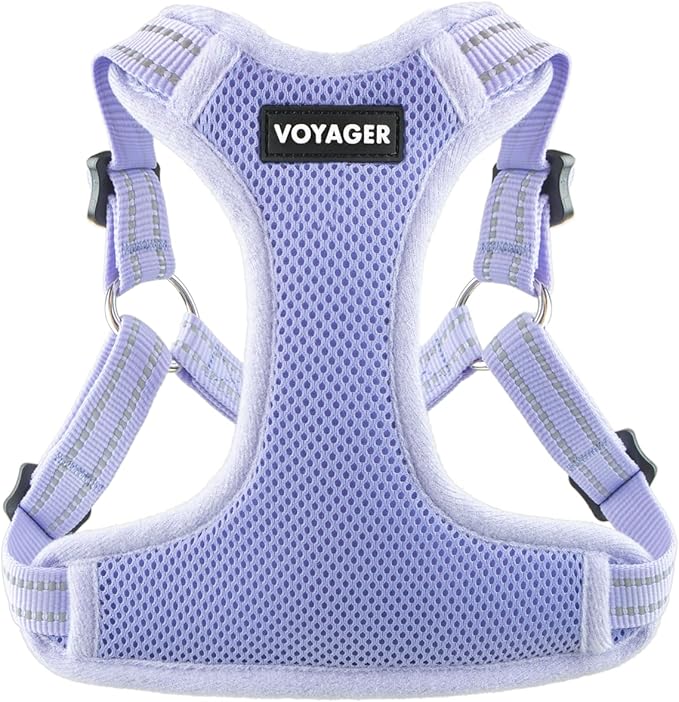Best Pet Supplies Voyager Adjustable Step-in Flex Breathable Mesh Dog Harness for Small Medium Large Dogs (Lavender), XS