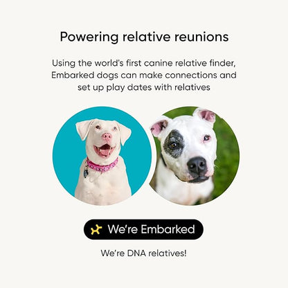 Embark Breed Identification Kit - Most Accurate Dog DNA Testing Kit - 99% Breed Ancestry Accuracy for Mixed Breed Dogs - Plus Relative Finder & Family Tree