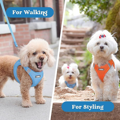 rabbitgoo Small Dog Harness, Step-in Soft Mesh Puppy Vest with Safety Buckle, Breathable Reflective Pet Harness for Small Medium Dogs, Blue XL