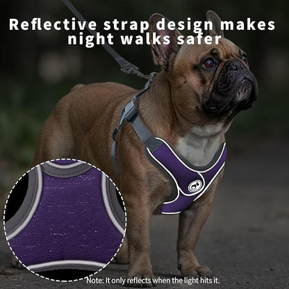 Dog Harness with Leash Set, No Pull Adjustable Step in Collars Harness with Breathable Padded Vest for Small Dogs Training and Running (S, Purple)