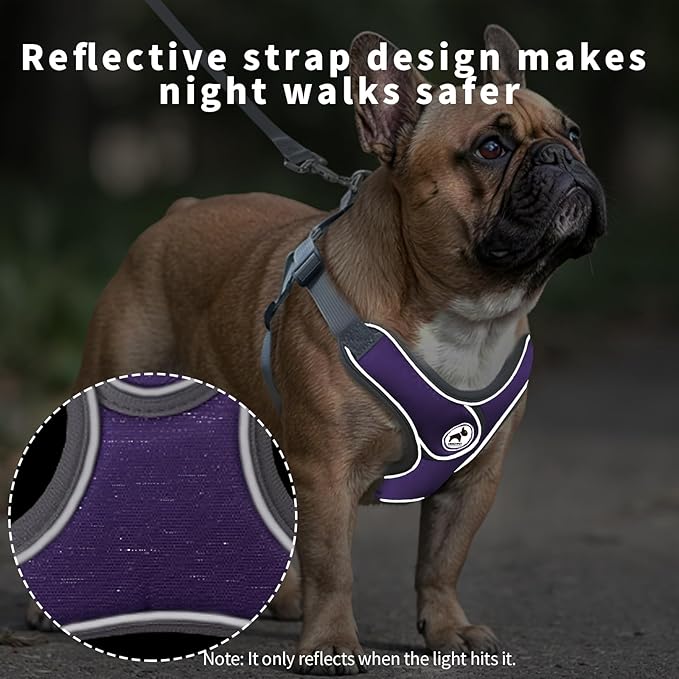 Dog Harness with Leash Set, Puppy Harnesses with Breathable Padded for Small Dogs Walking Escape Proof (XS, Purple)