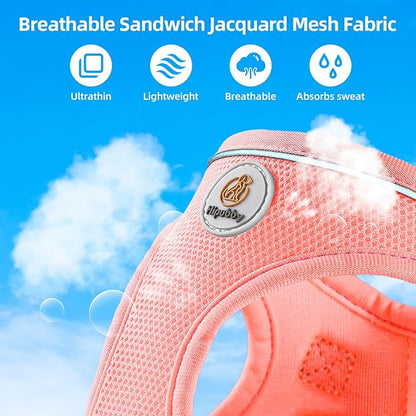 Hipubby Dog Harness and Leash Set, No Pull Soft Mesh Puppy Harness for Small Medium Dogs, Cats - Step in Reflective Breathable Lightweight Vest Harness for Walking, Training - Pink, L