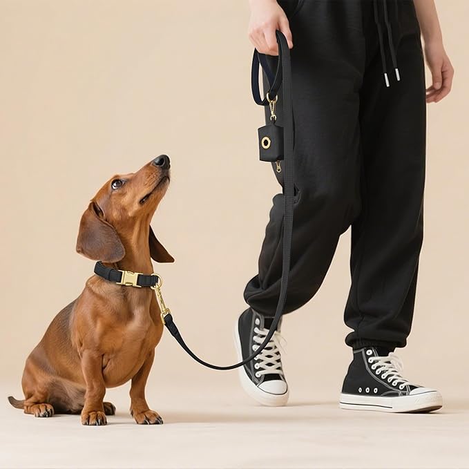 Didog Soft Padded Dog Collars for Medium Dogs, Colorful and Durable Dog Collar with Quick Release Buckle, Light and Breathable for Daily Walking, Black, M