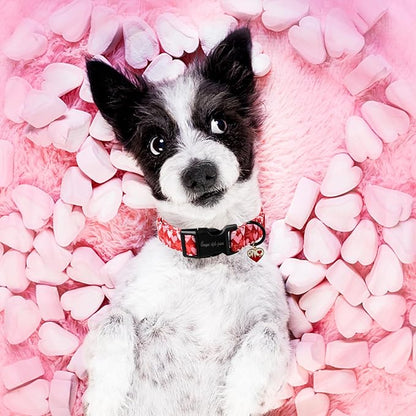 Unique style paws Valentine's Day Dog Collar Plastic Buckle Collar with Pendant Red Pink Love Gift Wedding Small Medium Large Boys Girls Dogs