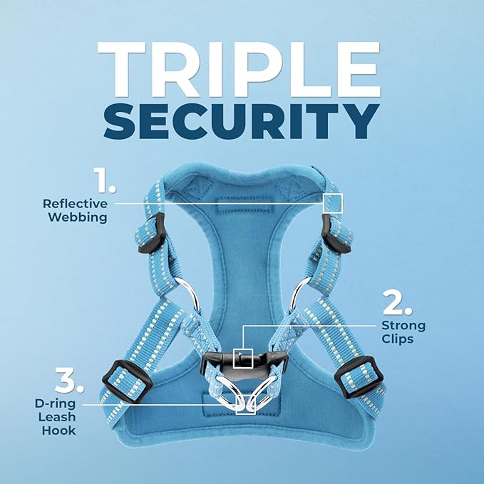 Best Pet Supplies Voyager Adjustable Step-in Flex Breathable Mesh Dog Harness for Small Medium Large Dogs Leash Set (Baby Blue), M