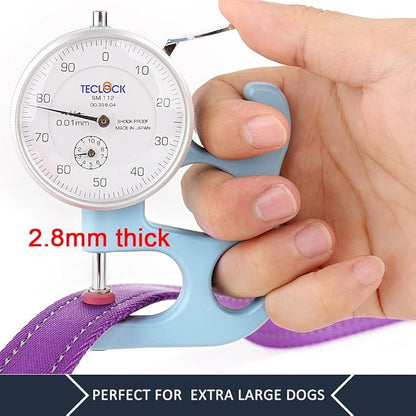 Plutus Pet Double Handle Dog Leash 5ft, Heavy Duty, Reflective Dual Handle Dog Leash for Safety Training, for Medium Large Dogs,2 Handle Leads(Purple)