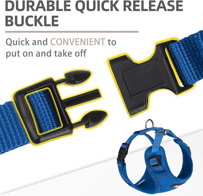 PUPTECK Small Dog Harness and Leash Set, No Pull Adjustable Puppy Cat Harness, Reflective Soft Mesh Pet Vest Small Sized, Blue, S