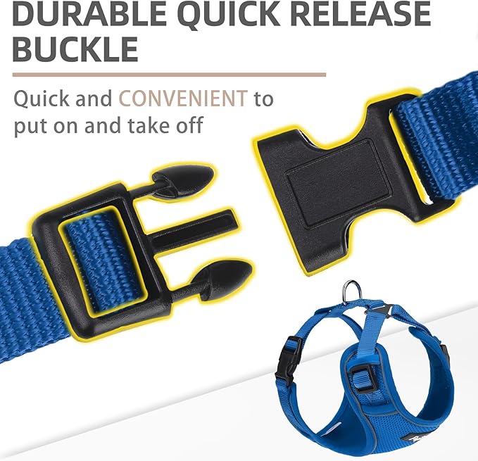 PUPTECK Small Dog Harness and Leash Set, No Pull Adjustable Puppy Cat Harness, Reflective Soft Mesh Pet Vest Small Sized, Blue, M