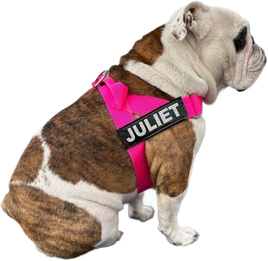 BULLHUG Adjustable Dog Harness– No Pull, No Choke – for English Bulldogs, French Bulldogs, Pugs & Broad-Chested Breeds – Easy, Safe Walks (NEON Pink, XL)