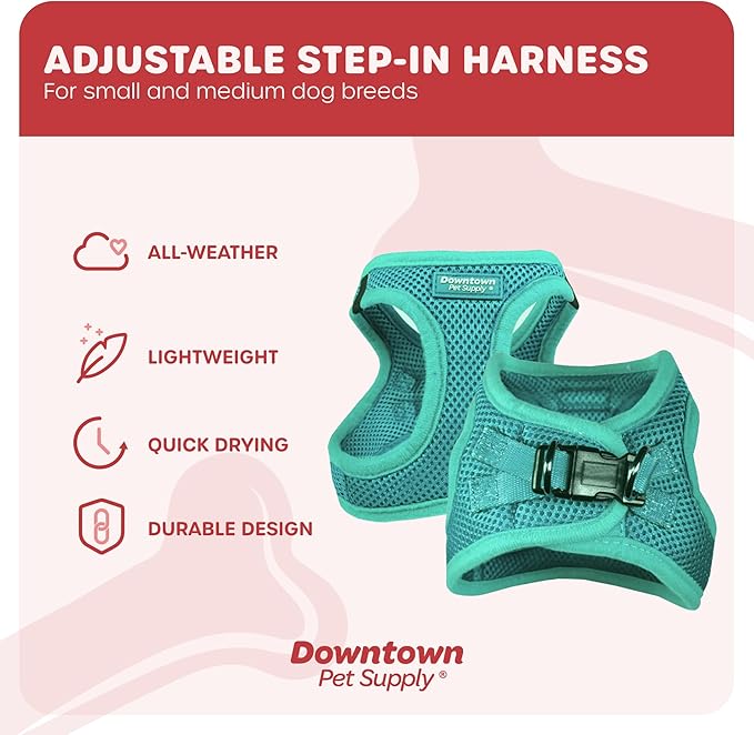 Downtown Pet Supply Step in Dog Harness for Small Dogs No Pull, X-Small, Bermuda Blue - Adjustable Harness with Padded Mesh Fabric and Reflective Trim - Buckle Strap Harness for Dogs