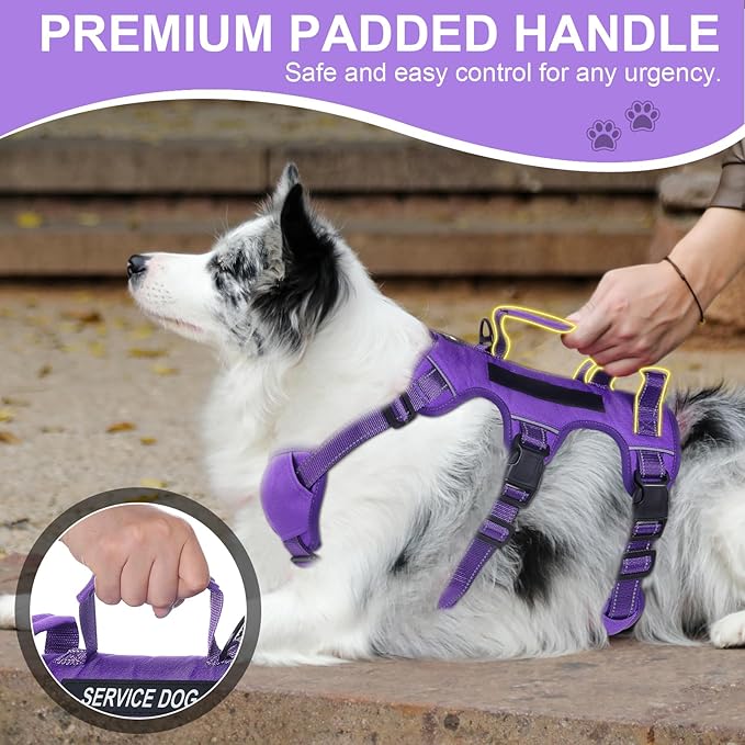 Escape Proof Dog Harness for Large Medium Sized Dogs Six Point Adjustable, Service Dog Vest Harness and Leash Set, No Pull Dogs Harnesses with Handle, Medium Dog Harnesses for Walking(Purple, M)