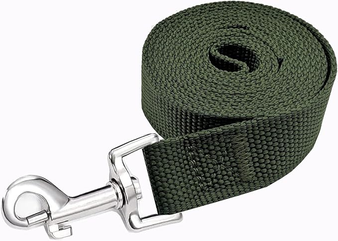 Strong Nylon Dog Leash, 4FT/ 5 FT/ 6FT Dog Leashes for Small Medium Dogs