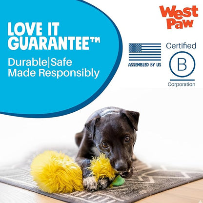 WEST PAW Rowdies Rolf Durable Plush Dog Toy with HardyTex Reinforced Seams Engaging Squeaker with Soft Cuddly Exterior Hand Sewn and Finished in Bozeman Montana for Dogs - Citrus