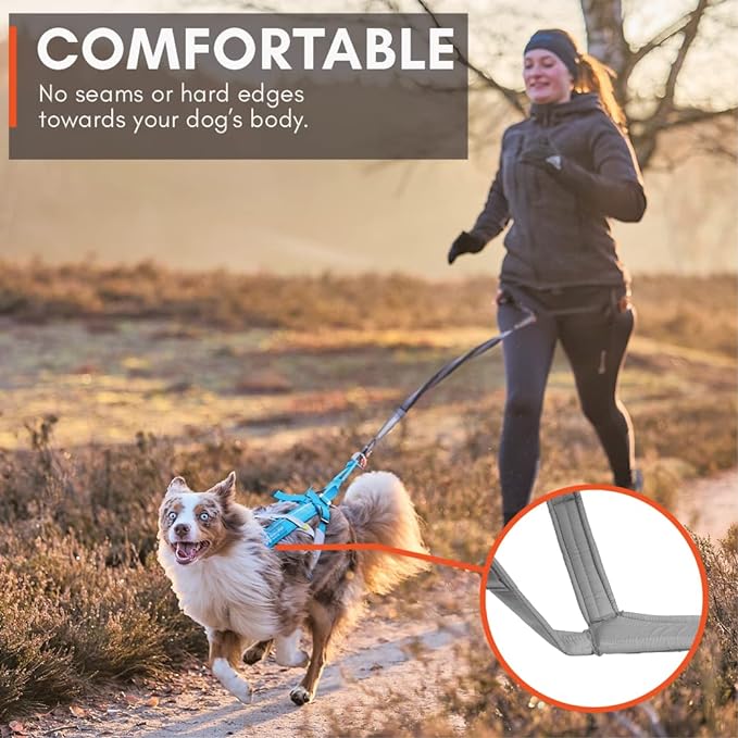 Non-stop dogwear Freemotion Harness 5.0 Dog Pulling Harness for Sports Like Running, Biking and Skiing with Dogs, Professional Adjustable Dog Harness, Blue/Gray, Size 8