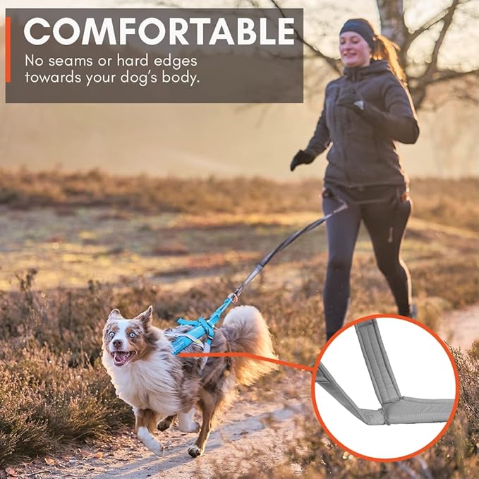 Non-stop dogwear Freemotion Harness 5.0 Dog Pulling Harness for Sports Like Running, Biking and Skiing with Dogs, Professional Adjustable Dog Harness, Blue/Gray, Size 5