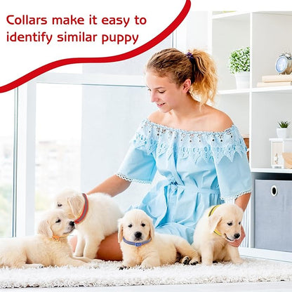 GGSTDDUP 36 Pcs Reflective Puppy Collar and Leash Set, Dog Collar and Leash Adjustable Quick Release Buckle Puppy Collars for Small Medium Dogs Walking Training