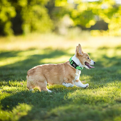 Dog Collar-Goose Adjustable Pet Collars Comfortable Spring Summer Puppy Collar Cute Cotton Collars Durable Necklace Gift for Medium Dogs