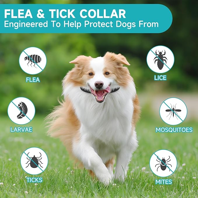 Flea and Tick Prevention for Dogs, 4 Pack Flea Collar for Dogs, Dog Flea and Tick Treatment, 32 Months Protection, Waterproof, Adjustable Collar for Dog, One Size Fits All for All Breeds, Black