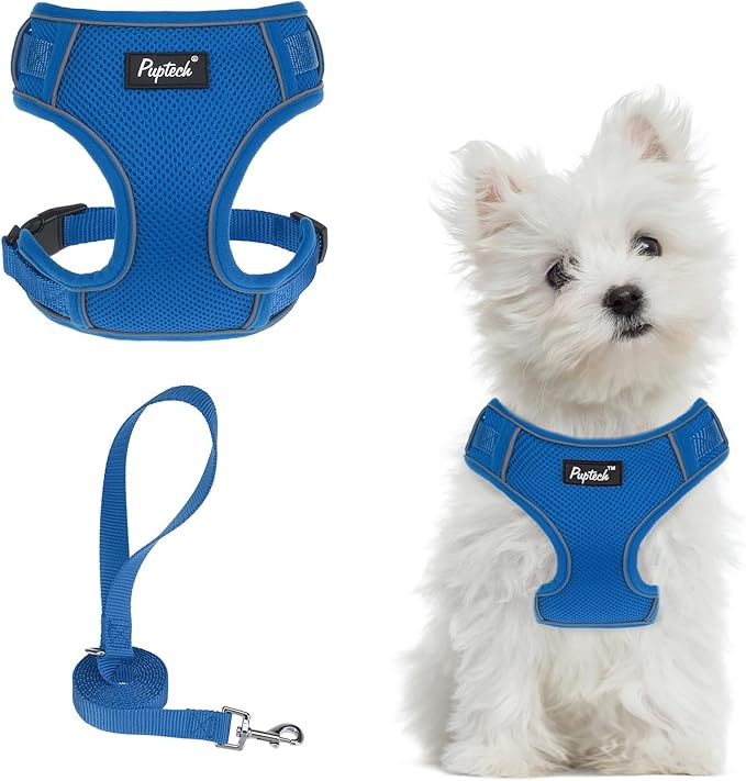 PUPTECK Small Dog Harness and Leash Set, No Pull Adjustable Puppy Cat Harness, Reflective Soft Mesh Pet Vest Small Sized, Blue, S