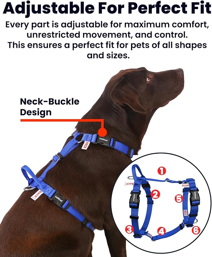 Non Restrictive Dog Harness, Easy Walk Freedom No Pull Harness, Keep Balance, Neck Buckle, 2 Leash Clips for Back/Front Clip, Sewn-in Instructions Labels for Easy Put On/Off (Blue, X-Large)