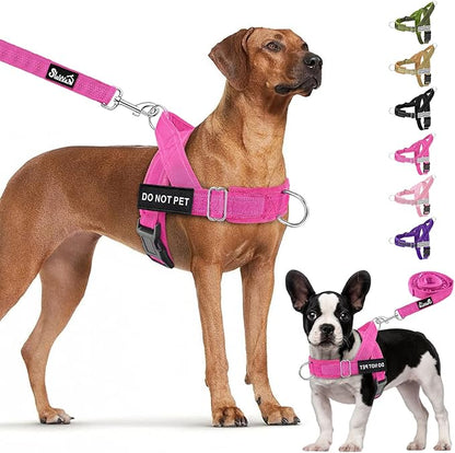 Lukovee No Pull Dog Harness & Leash Set - Heavy Duty Dog Vest Harness with Soft Padded for Medium Large Dogs, Adjustable Reflective Tactical Pet Harness for Easy Walk and Training (L, FU)