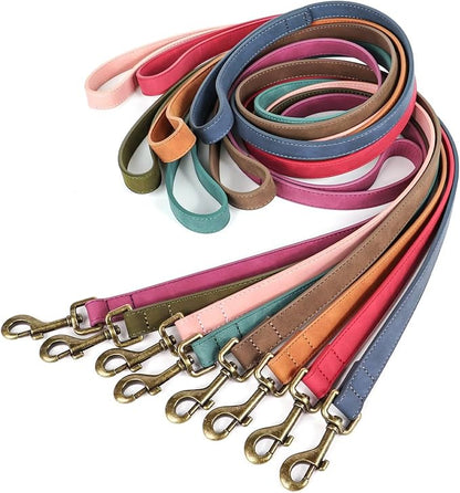 Didog PU Leather Dog Leash, Colorful Dog Leash 4ft, Strong and Durable Faux Leather Lead, Walking and Training Lead for Small Medium Dogs,Green