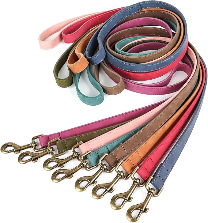 Didog PU Leather Dog Leash, Colorful Dog Leash 4ft, Strong and Durable Faux Leather Lead, Walking and Training Lead for Small Medium Dogs,Red