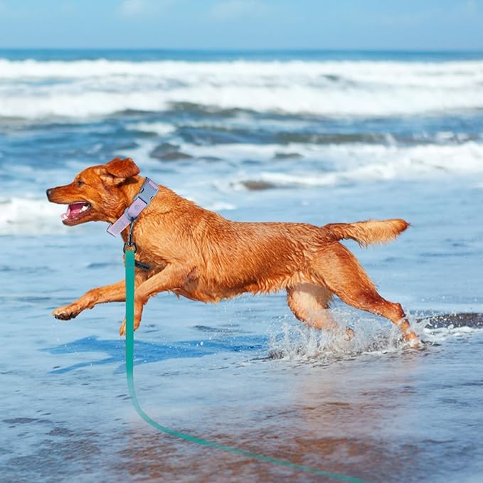 Wolfone 30ft Viridian Green Long Leash - Waterproof Training Dog Leash for Recall, Swimming, Camping, Beach, Hunting, Walking