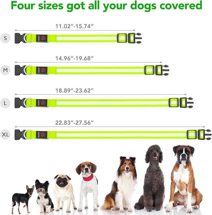 Vizpet LED Dog Collar, Light Up Dog Collar Adjustable USB Rechargeable Super Bright Safety Light Glowing Collars for Dogs(X-Large,Green)
