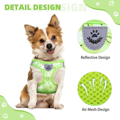 KOOLTAIL Dog Harness and Leash Set for Small Medium Dogs, Step in No Pull Soft Mesh Dog Harness Comfort Padded Pet Vest, Adjustable Reflective Easy Walking Puppy Cats Harness Training, Kiwifruit S