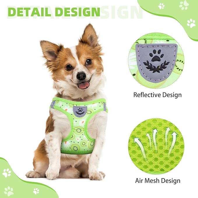 KOOLTAIL Dog Harness and Leash Set for Small Medium Dogs, Step in No Pull Soft Mesh Dog Harness Comfort Padded Pet Vest, Adjustable Reflective Easy Walking Puppy Cats Harness Training, Kiwifruit XS