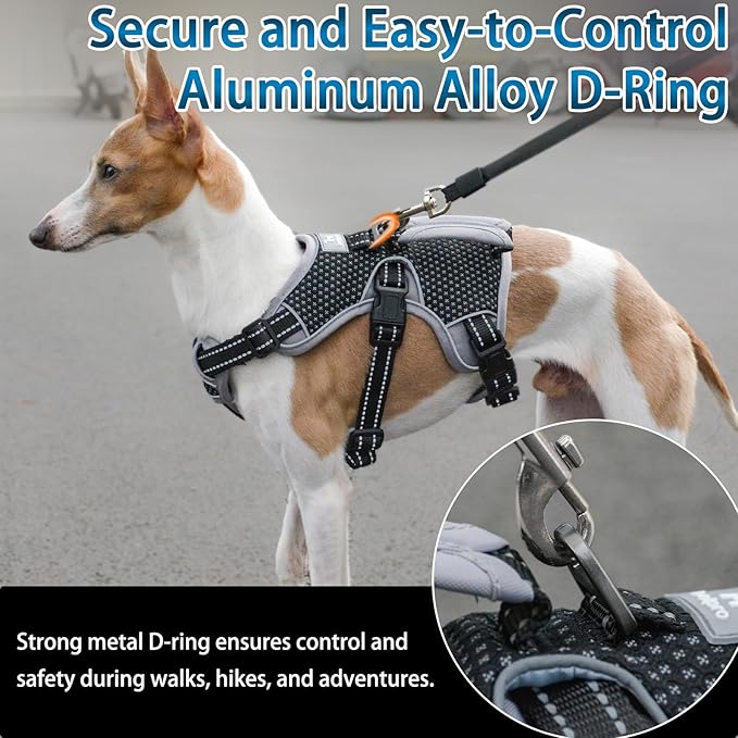 BELPRO Multi-Use Support Dog Harness, Escape Proof No Pull Reflective Adjustable Vest with Durable Handle, Dog Walking Harness for Big/Active Dogs (Black, L)
