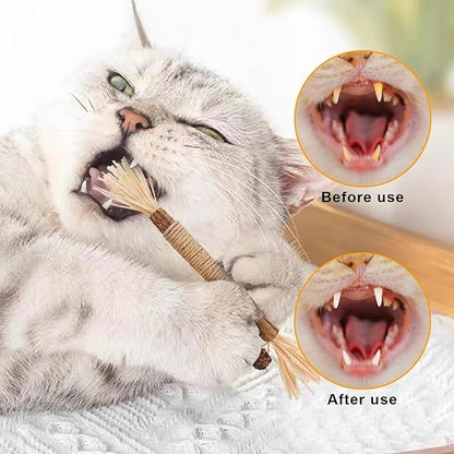 lenpestia Silvervine Chew Sticks for Cats 10 Pcs Cat Chew Toy Natural Cat Chew Toy Silver Vine Sticks Teeth Cleaning Teething Toys for Bored Indoor Cats