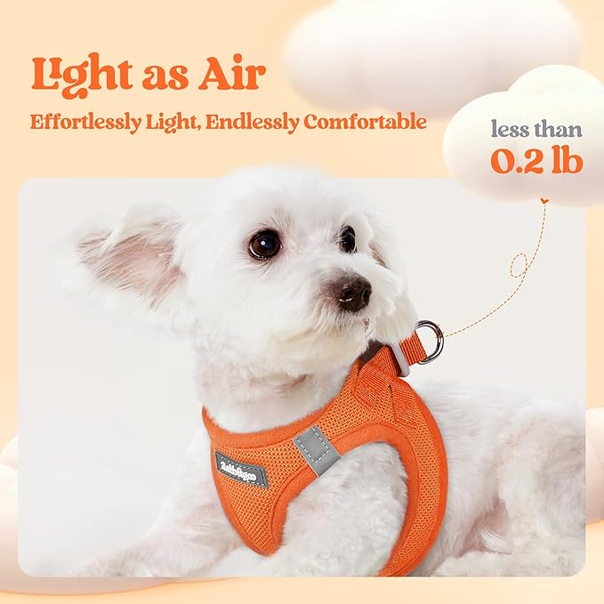 rabbitgoo Dog Harness Small Sized and Leash Set, Step in Soft Light Puppy Vest, Breathable Mesh Pet Harness, Reflective for Safe Easy Walking, Orange XXXS