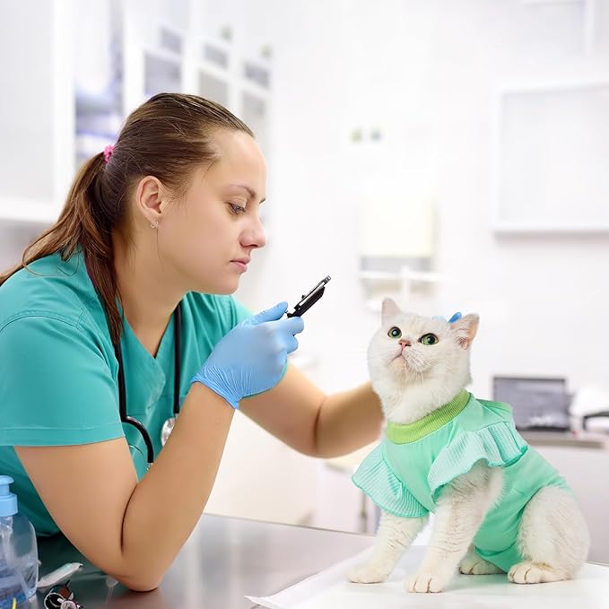 Avont Cat Recovery Suit - Post-Surgery Onesie for Cats, Alternative to Cone of Shame, Protective Spay Suit for Female Kitten, Ideal for Healing and Skin Conditions -Mintgreen(L)
