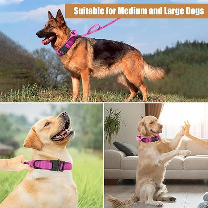 Tactical Dog Collar Leash Set, Adjustable Military Training Nylon Collar Dog Training with Control Handleand Metal Buckle, Dog Collar for Medium Large Dogs (Pink,M)