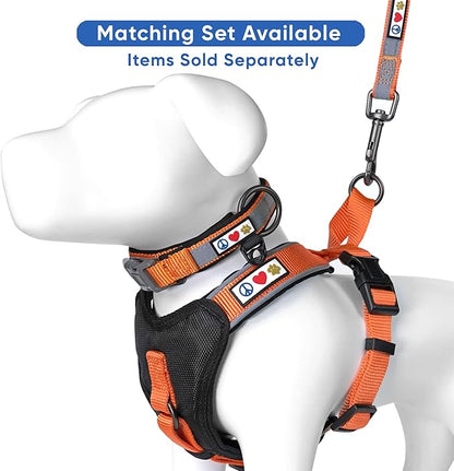 Pawtitas Personalized Orange Dog Leash 6 ft Custom ID Lead for Dogs & Puppies Reflective Comfortable Padded Handle Embroidered Name & Phone Number