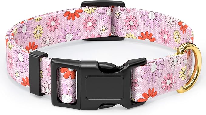 Rnivvi Dog Collar for Small Dogs, Cute Heavy Duty Adjustable Puppy Collar with Quick Release Buckle for Girl & Female, Pet Accessories for Walking Running, XS Length 5/8" Width, Colorful Chamomile
