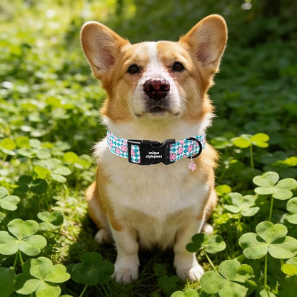Unique style paws Dog Collar Plastic Buckle with Pendant Puppy Collar for Saint Patrick Grid Clover for Small Medium Large Boys Girls Dogs