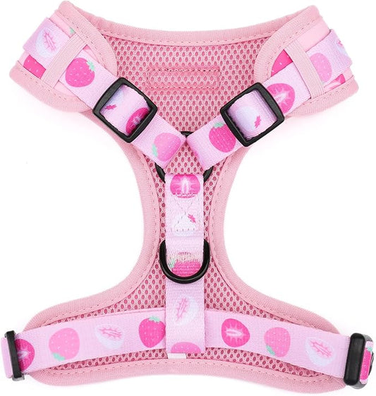 Dog Harness and Leash Set, Adjustable Dog Harness, Dog Leash, No Pull No Choke Puppy Harnesses for Walking Training for Small Medium Pet (Strawberries, S(Chest 13-19", Neck 9.5-13.1"))