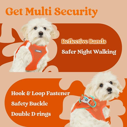 rabbitgoo Small Dog Harness, Step-in Soft Mesh Puppy Vest with Safety Buckle, Breathable Reflective Pet Harness for Small Sized Dogs, Orange M
