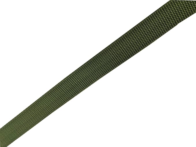 Nylon Dog Leash 12 Feet Long, Walking Training Dog Leashes for Medium Large Dogs(1" X 12 ft, Green)