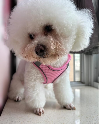 Solmoony Dog Harness for Small Medium Dogs No Pull, Puppy Harness and Leash Set, Puppy Harness, Step in Harness for Small Dogs,mesh Dog Harness. (Pink, S)