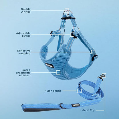 Best Pet Supplies Voyager Adjustable Step-in Flex Breathable Mesh Dog Harness for Small Medium Large Dogs Leash Set (Baby Blue), M