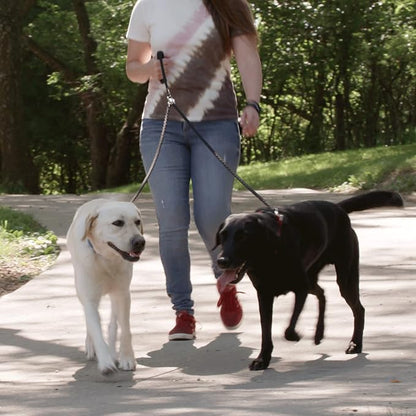 Caldwell's Pet Supply Co. Dual Dog Leash, Double Dog Leash for Two Dogs, Tangle Free, Heavy Duty Double Ended Tandem Leashes with Padded Handle with Tangle-free Swivel, for Small, Medium or Large Dogs