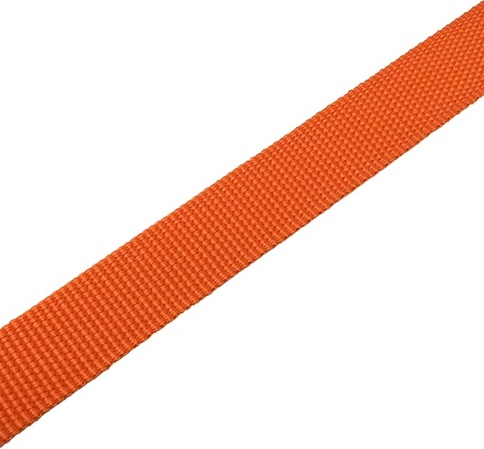 TAIAN 5 FT Strong Dog Leash, Nylon Dog Leashes for Small Medium Large Dogs Orange