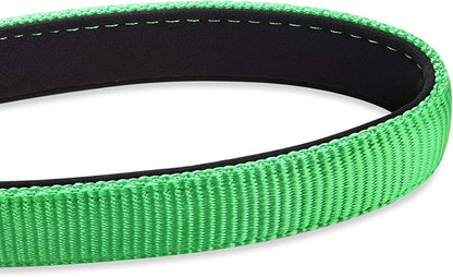 Hyhug Pets 24 Inches Heavy Duty Short Leash with Soft Handle and Lightweight Aviation Aluminium Clip Lead- for Large Medium Dogs Daily Necessities. (24 Inches, Lime Green)
