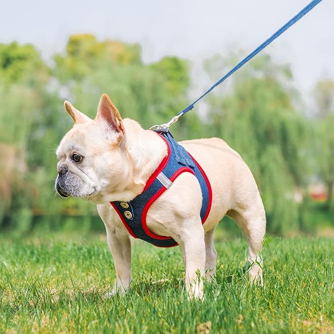 PUPTECK Dog Harness and Leash Set for Small Medium Dogs No Pull Step-in Soft Mesh Puppy Cat Vest Harnesses Reflective at Night, Denim NavyBlue L