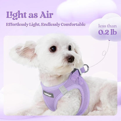 rabbitgoo Dog Harness Small Medium Sized and Leash Set, Step in Soft Light Puppy Vest, Breathable Mesh Pet Harness, Reflective for Safe Easy Walking, Light Purple L
